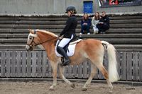 D_S_W_02 (12)