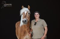 d11e146c-8c74-4bc9-a0d2-bd3578b26f7d